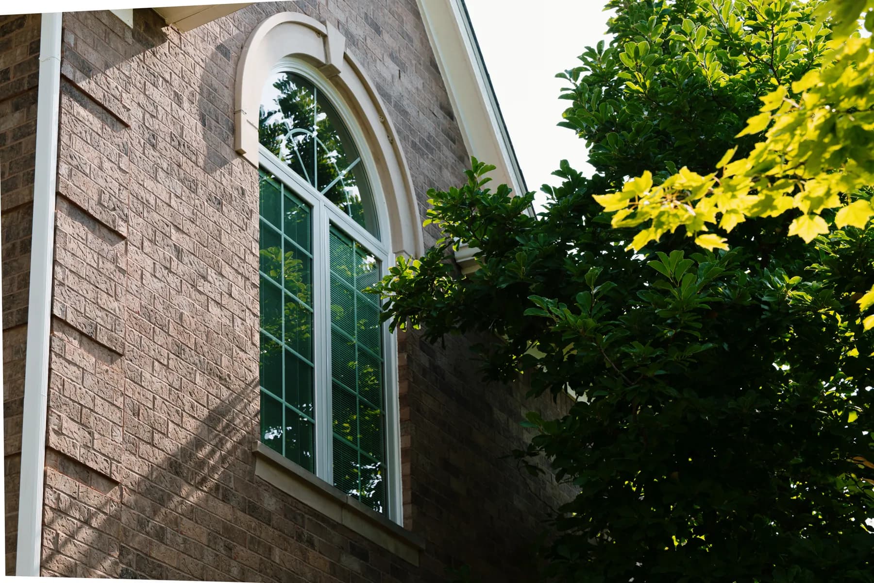 Arched gable window beside the maple, Ann Arbor