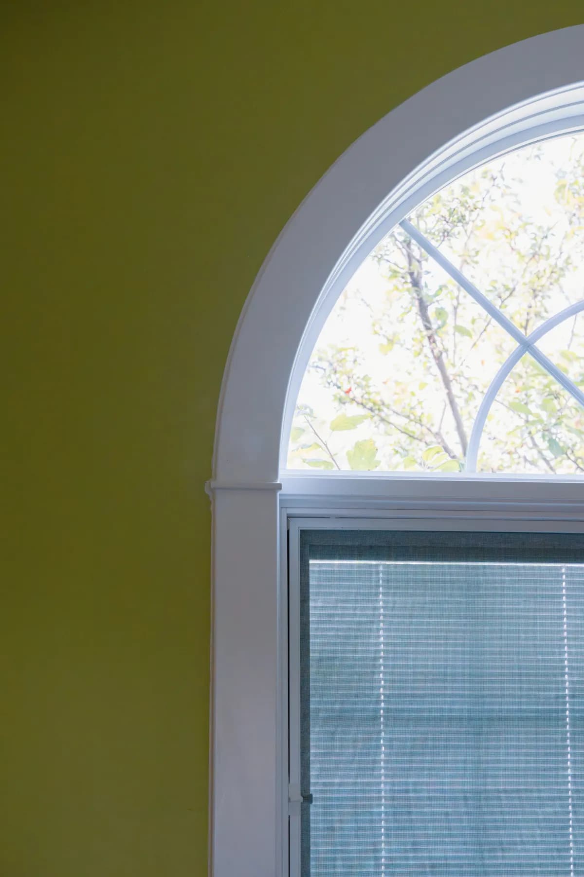 Arch-top window detail in an Ann Arbor bedroom