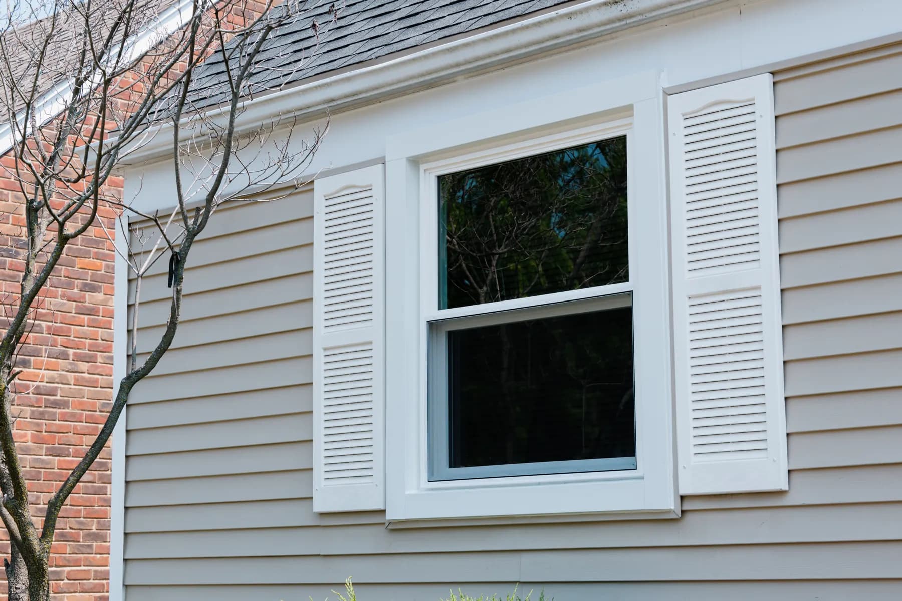 White double-hung window and shutters in fresh vinyl siding, Taylor